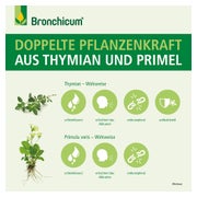 Bronchicum Tropfen 50 ml