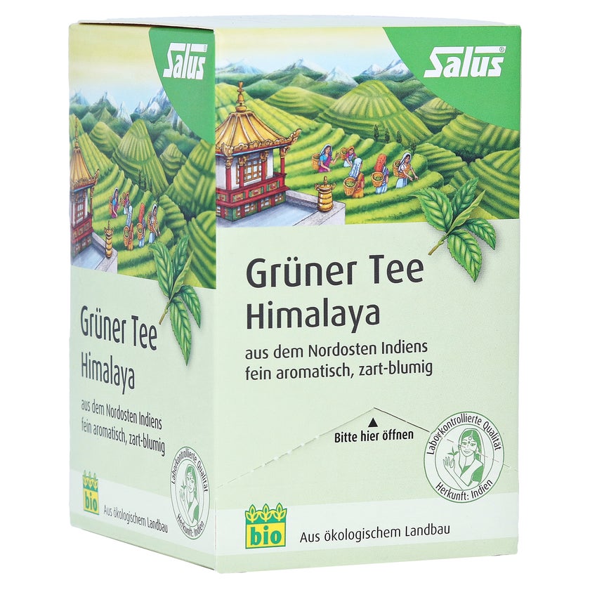 Grüner TEE Himalaya Bio Salus Filterbeut 15 St