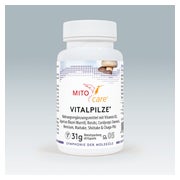 Vitalpilze 60 St