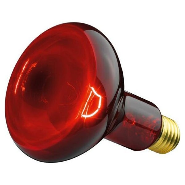 Beurer INFRAROTLAMPE             100W (ERSATZLAMPE FÜR IL11) 1 St