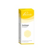 Solidago Similiaplex 50 ml