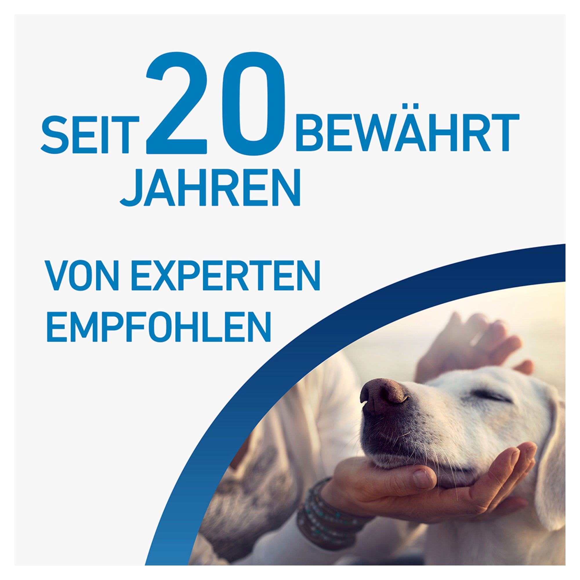 Erfahrungen zu Frontline Spot On gegen Zecken und Flöhe bei Hunden bis 2 10 kg medpex