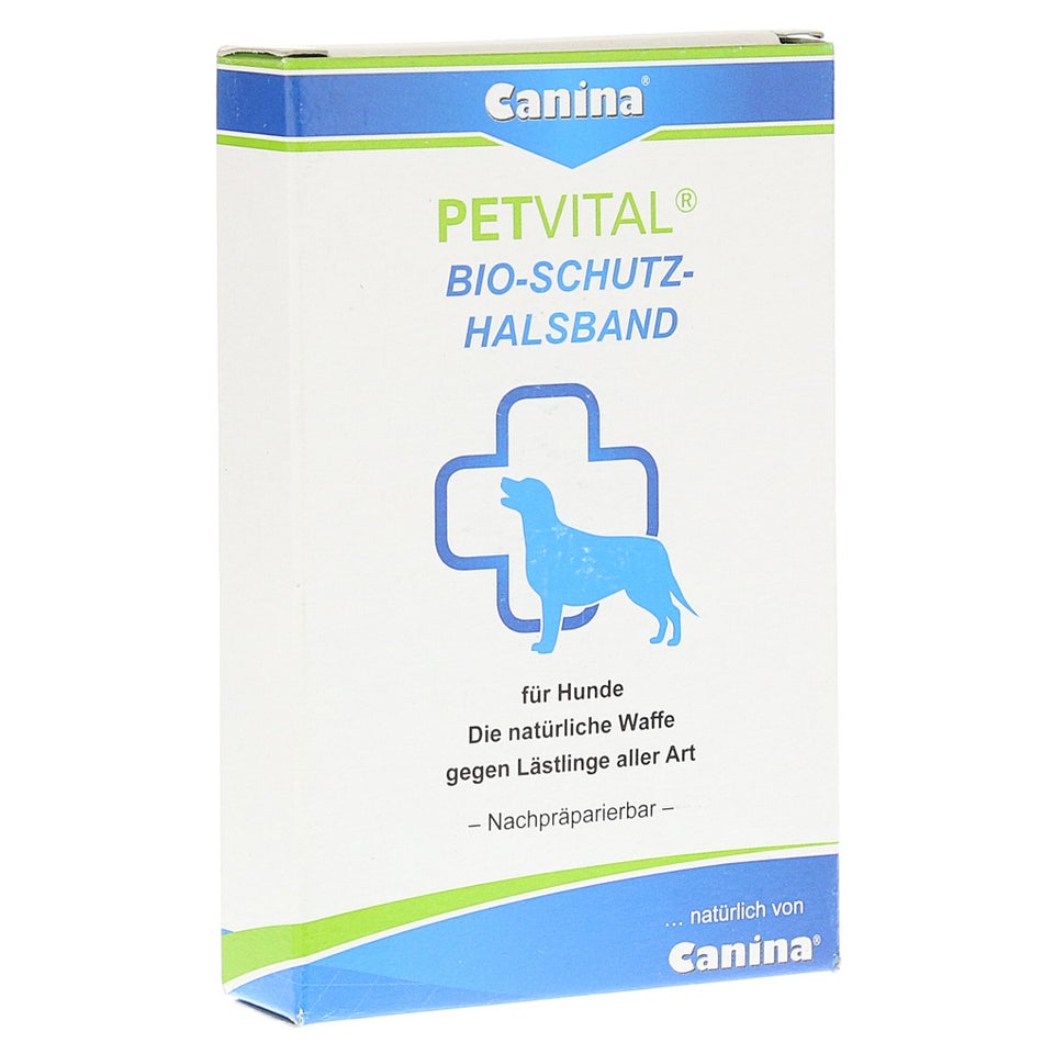 Hundehalsband Gelb – Groß, Gepolstert, Reflektierend, Mit Sicherheitsschnalle