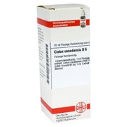 Produktabbildung: Cistus Canadensis D 6 Dilution 20 ml