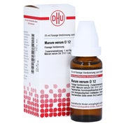 Marum Verum D 12 Dilution 20 ml