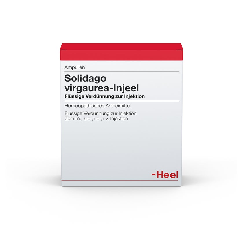 Solidago Virgaurea Injeel Ampullen 10 St