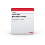 Produktabbildung: Solidago Virgaurea Injeel Ampullen 10 St