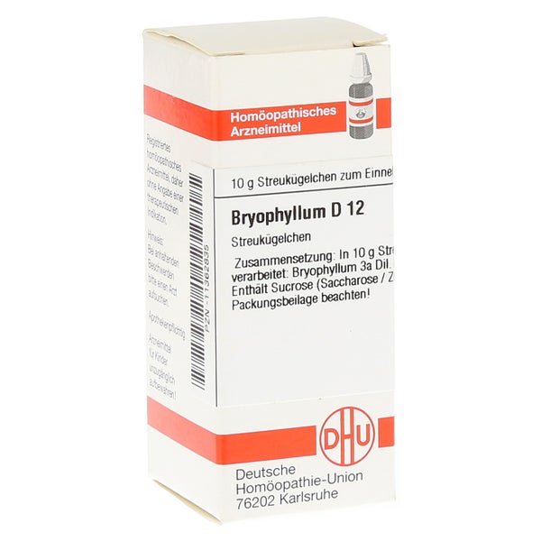 Bryophyllum D 12 Globuli 10 g