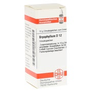 Bryophyllum D 12 Globuli 10 g