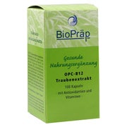 Produktabbildung: OPC B12 Traubenextrakt Kapseln 100 St