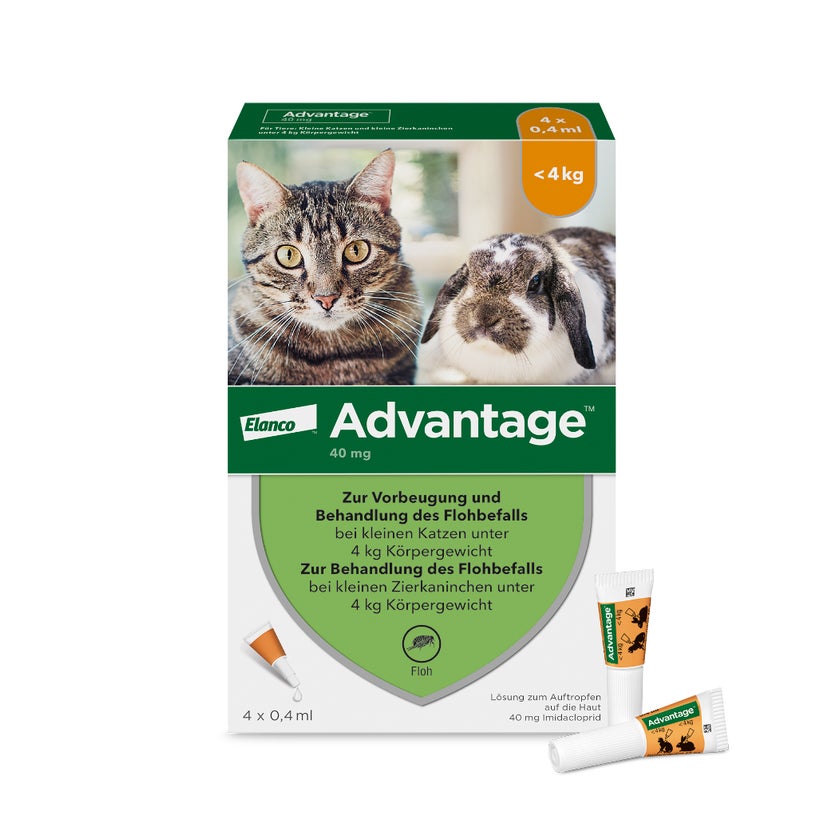 Advantage Spot-On 40 gegen Flöhekleine Katzen 4X0,4 ml