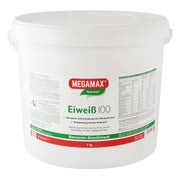 MEGAMAX Eiweiß 100  BANANE 5000 g