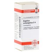 Produktabbildung: Angelica Archangelica D 4 Globuli 10 g