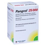 Produktabbildung: Pangrol 25.000 100 St
