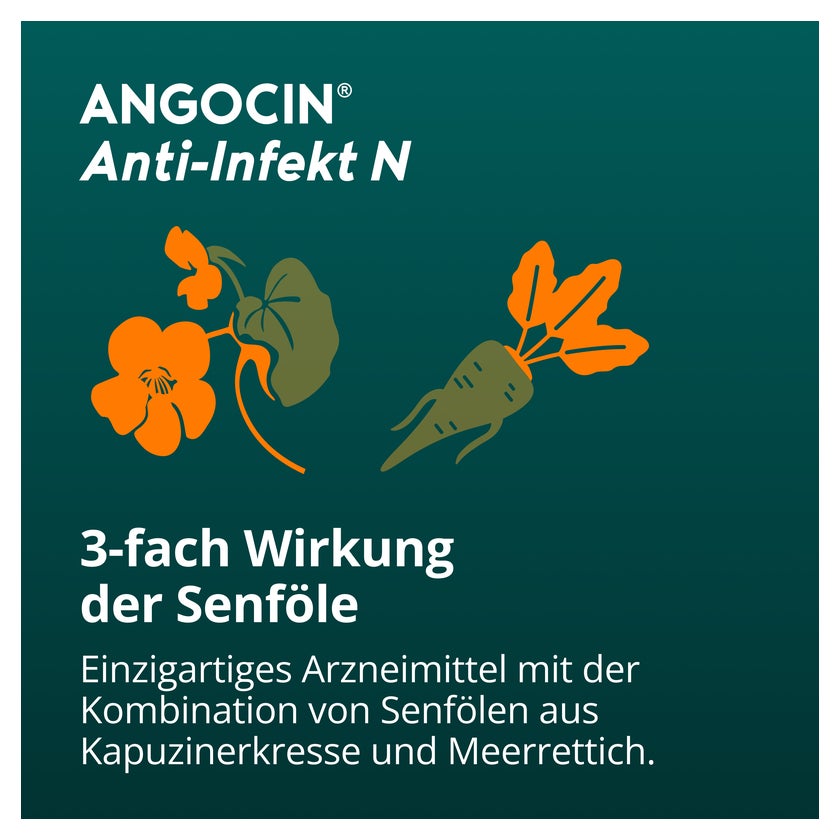 ANGOCIN Anti-Infekt N 100 St