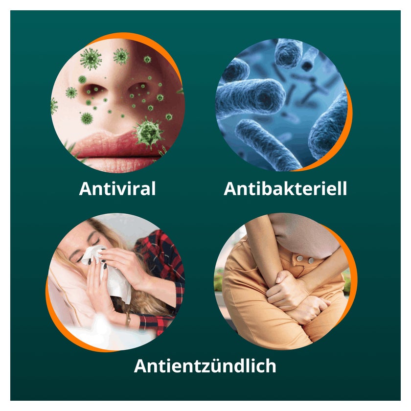 ANGOCIN Anti-Infekt N 100 St