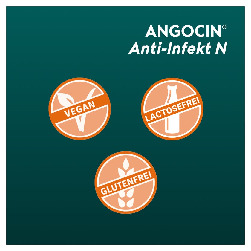 ANGOCIN Anti-Infekt N 100 St