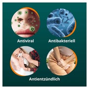 ANGOCIN Anti-Infekt N 100 St