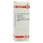 Cactus D 6 Dilution 20 ml