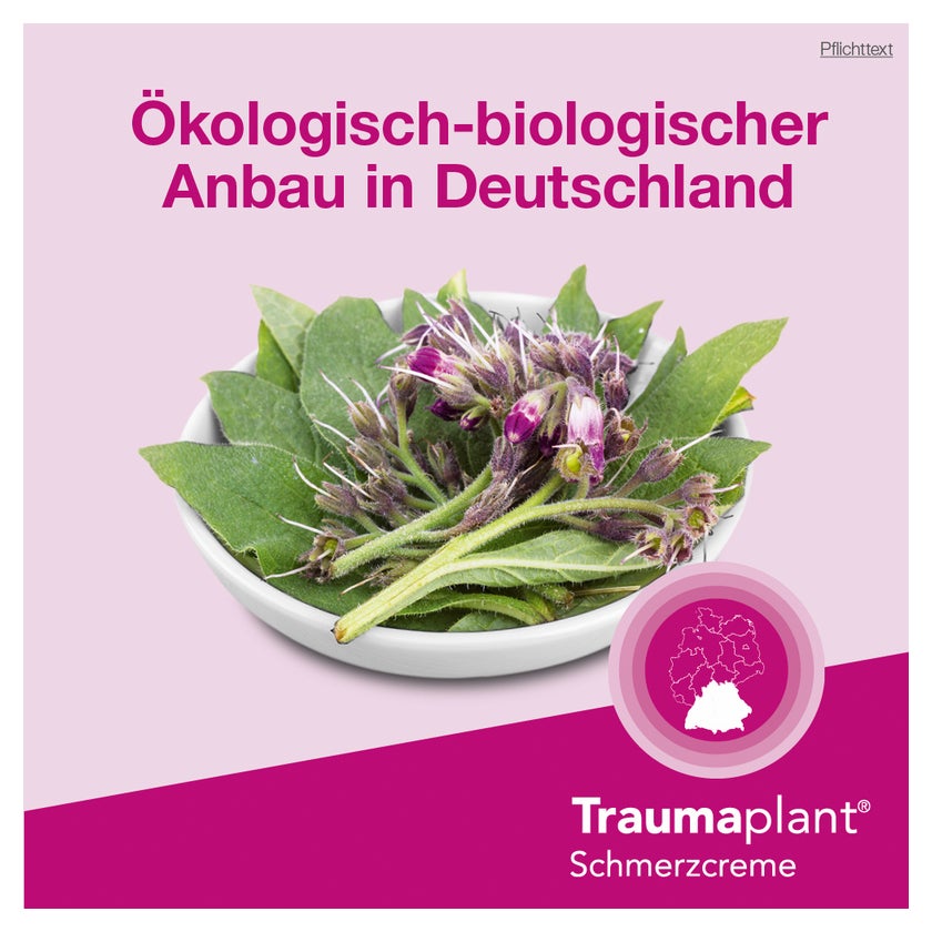 Traumaplant Schmerzcreme 50 g