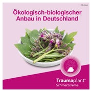 Traumaplant Schmerzcreme 50 g