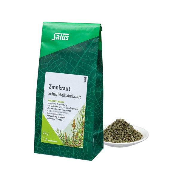 Zinnkraut TEE Schachtelhalmkraut Salus 75 g