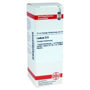 Produktabbildung: Ledum D 6 Dilution 20 ml