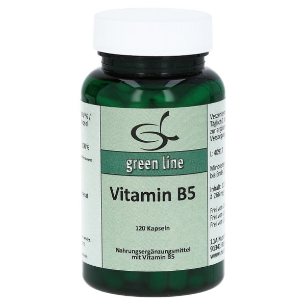 Vitamin B5 Kapseln 120 St