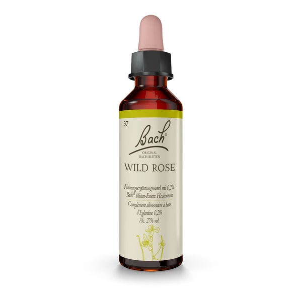 Bachblüten Wild Rose Tropfen 20 ml