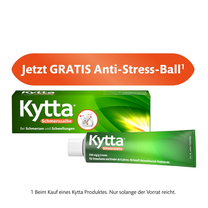 Kytta Schmerzsalbe 50 g