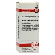 RHUS Toxicodendron C 6 Globuli 10 g