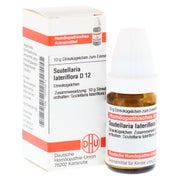 Scutellaria Lateriflora D 12 Globuli 10 g