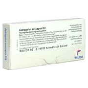 Produktabbildung: Astragalus Exscapus D 3 Ampullen 8X1 ml