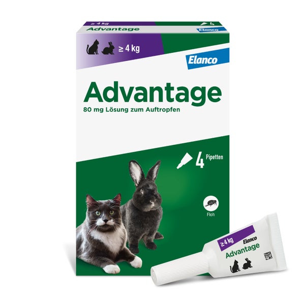 Advantage™ 80 mg Katze 4X0,8 ml