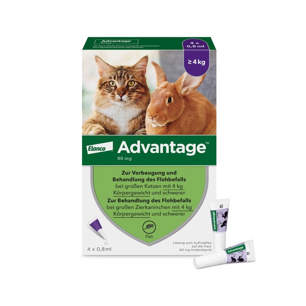 Advantage Spot-On 80 gegen Flöhegroße Katzen 4X0,8 ml