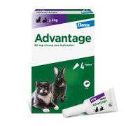 Produktabbildung: Advantage™ 80 mg Katze 4X0,8 ml
