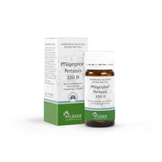 Pflügerplex Pertussis 320 H Tabletten 100 St