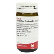 Produktabbildung: Pulsatilla E Floribus D 4 Globuli 20 g