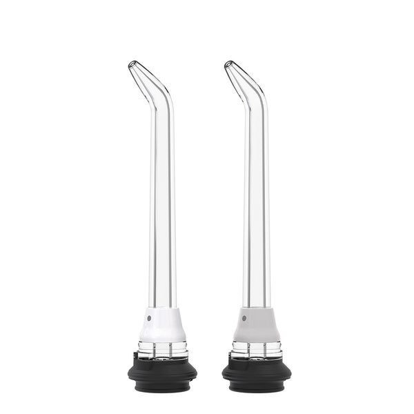 WP WJT-2E Waterpik Whitening Classic Jet Tip 2 St