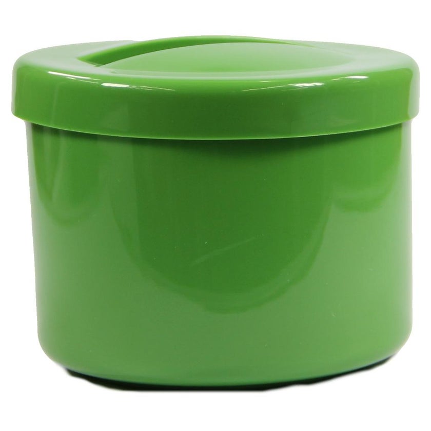 Prothesenbehälter mit Deckel und Einsatz grün 1 St