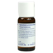 Produktabbildung: Equisetum Arvense Silicea cultum D 2 Dil 50 ml