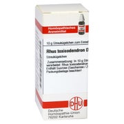 Produktabbildung: RHUS Toxicodendron D 4 Globuli 10 g