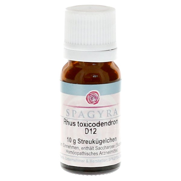 RHUS Toxicodendron D 12 Globuli 10 g