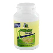 Avitale Ingwer 90 St
