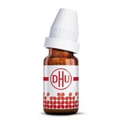 Produktabbildung: Artemisia Vulgaris D 6 Globuli 10 g