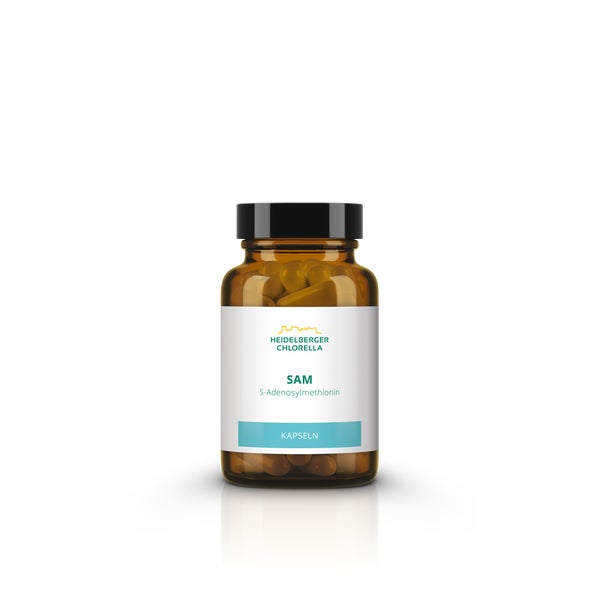 SAM S-adenosylmethionin Kapseln 60 St