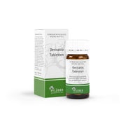 Produktabbildung: Derivatio Tabletten 100 St