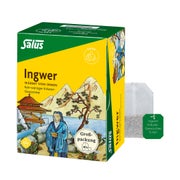 Ingwer Kräuter-gewürztee-mischung Bio Sa 40 St
