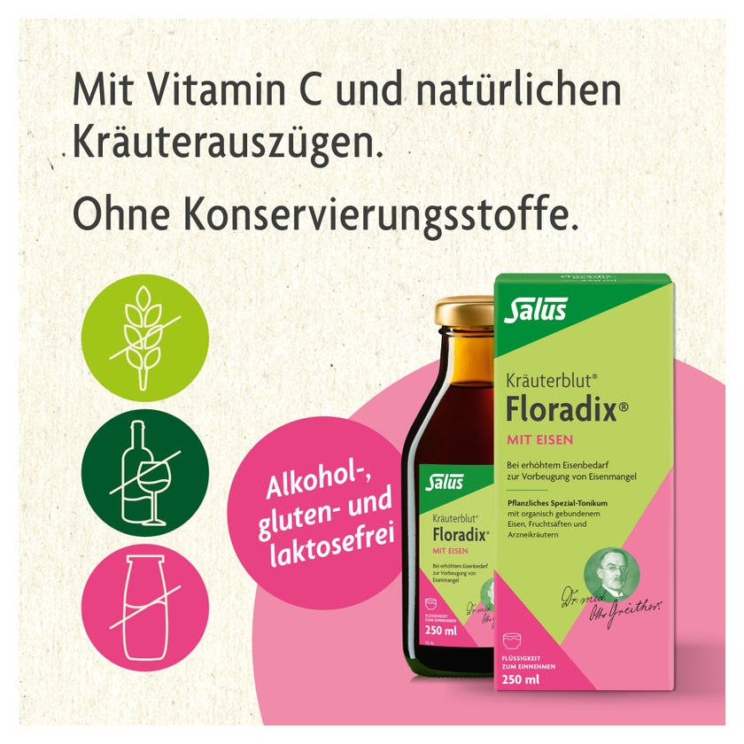 Floradix mit Eisen 250 ml