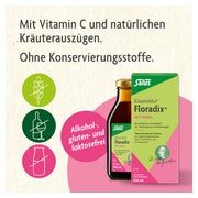 Floradix mit Eisen 250 ml